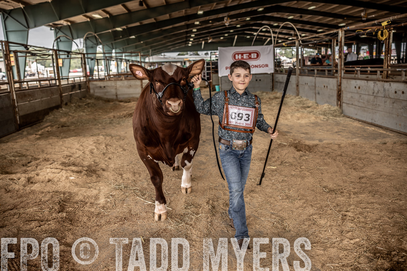TMyers_PlotTwist_HEB_ConroeTX_April2024-518090
