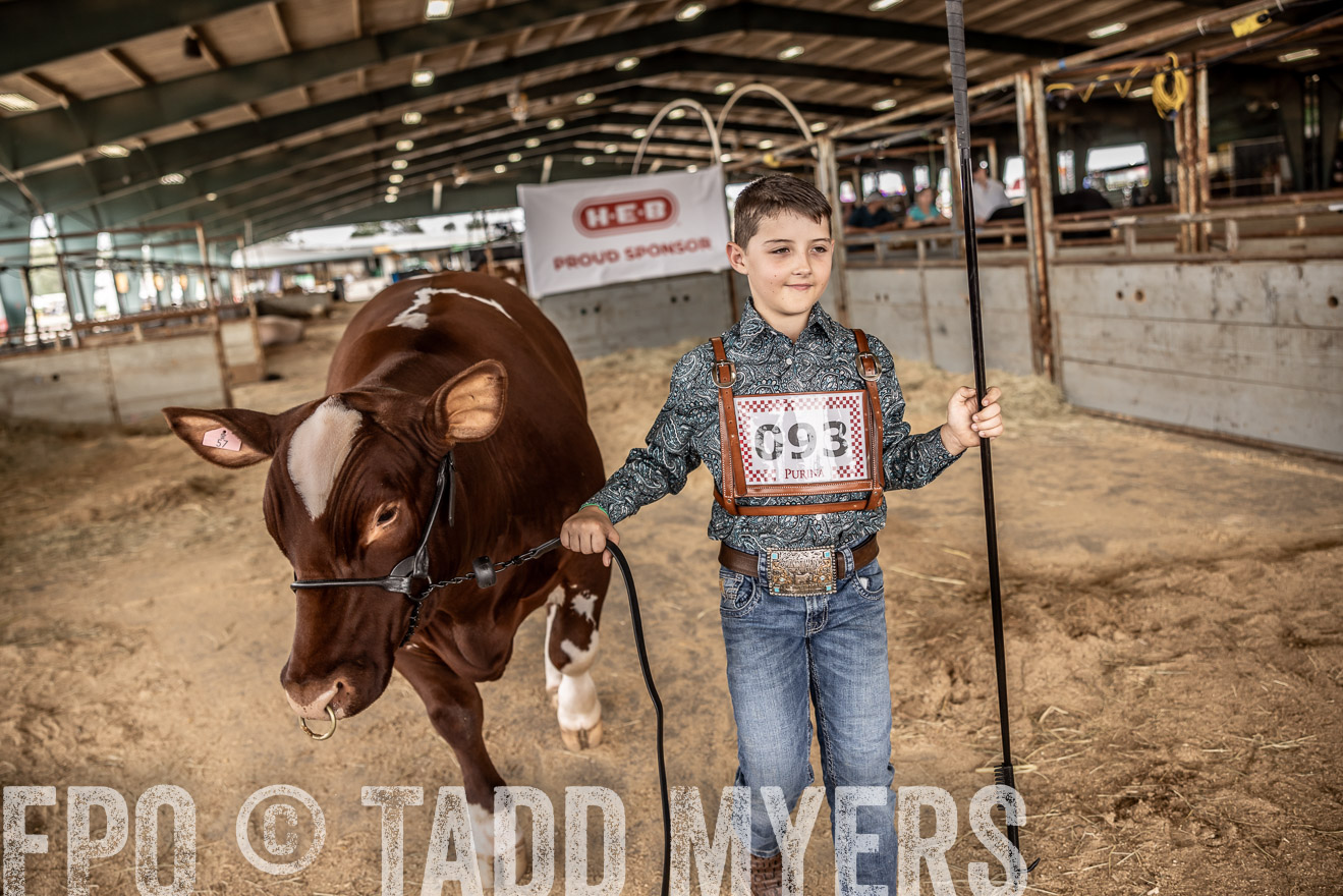 TMyers_PlotTwist_HEB_ConroeTX_April2024-518107