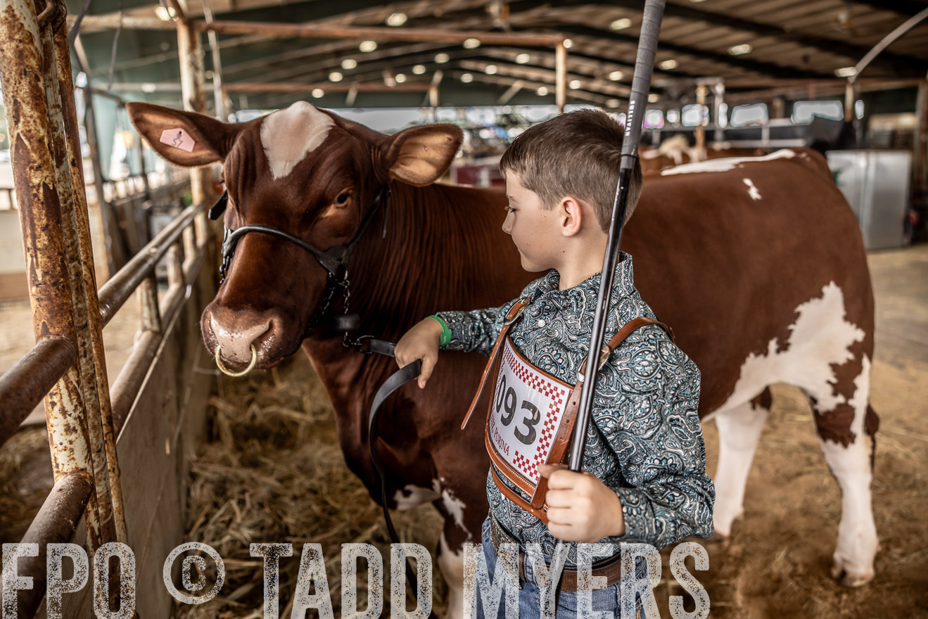 TMyers_PlotTwist_HEB_ConroeTX_April2024-518122