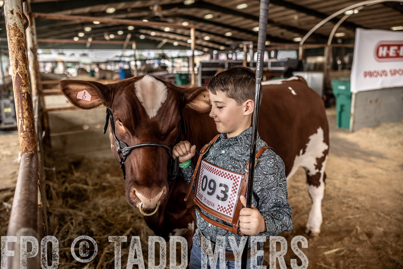 TMyers_PlotTwist_HEB_ConroeTX_April2024-518145