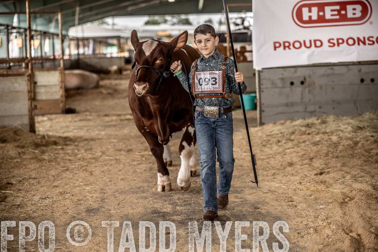 TMyers_PlotTwist_HEB_ConroeTX_April2024-518191