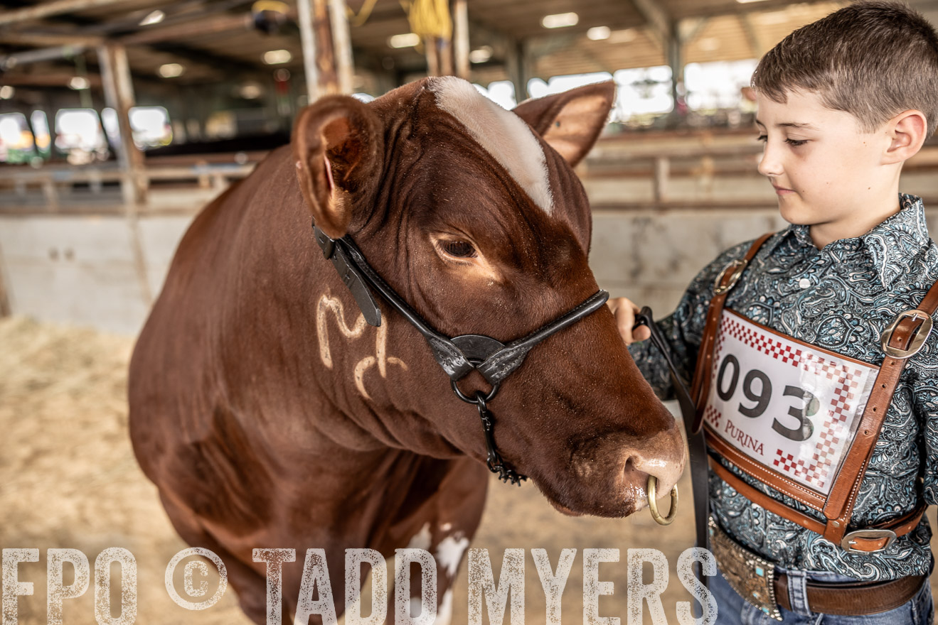 TMyers_PlotTwist_HEB_ConroeTX_April2024-518227
