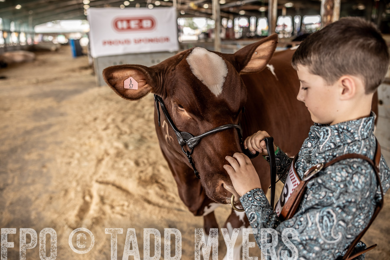 TMyers_PlotTwist_HEB_ConroeTX_April2024-518230