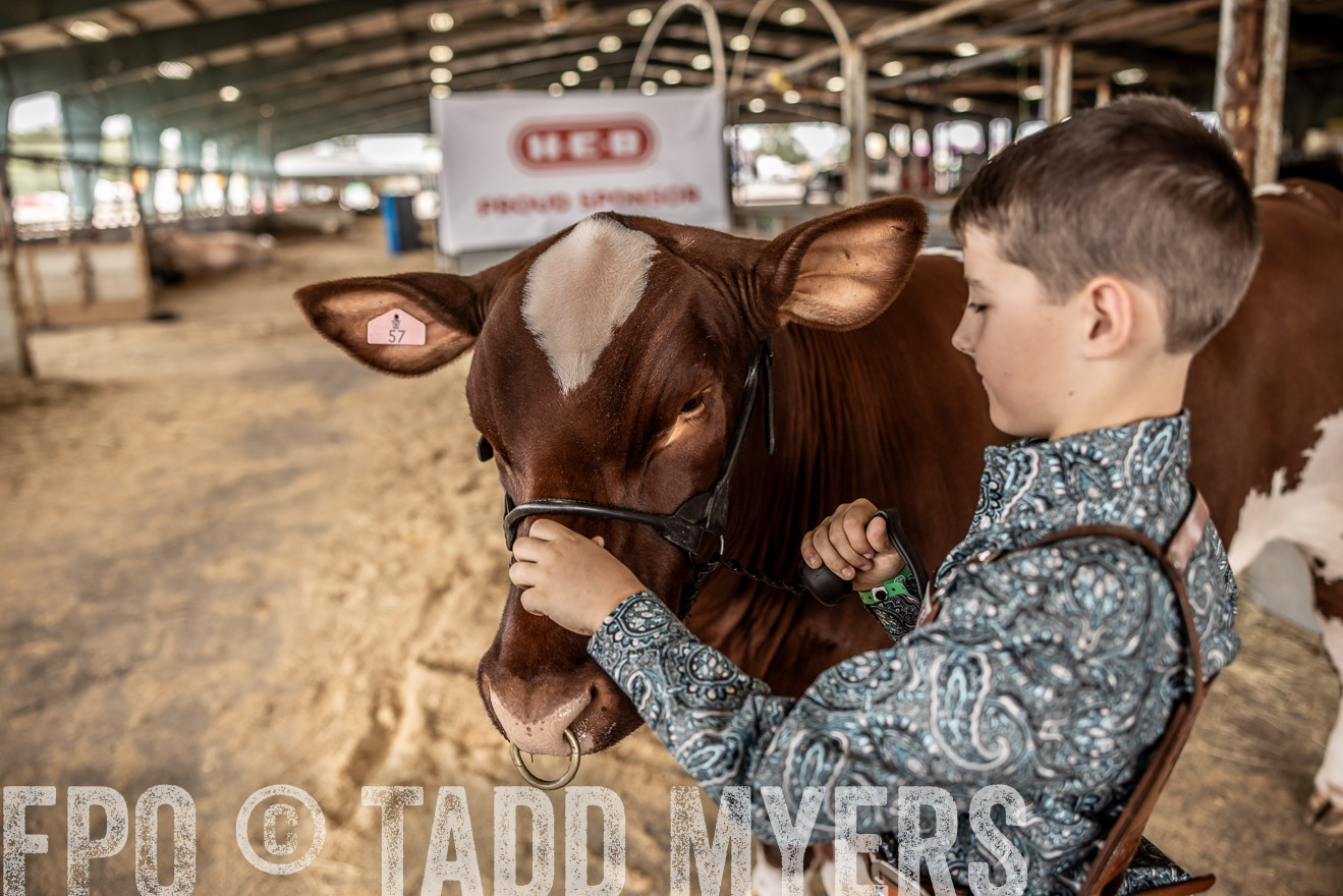 TMyers_PlotTwist_HEB_ConroeTX_April2024-518234