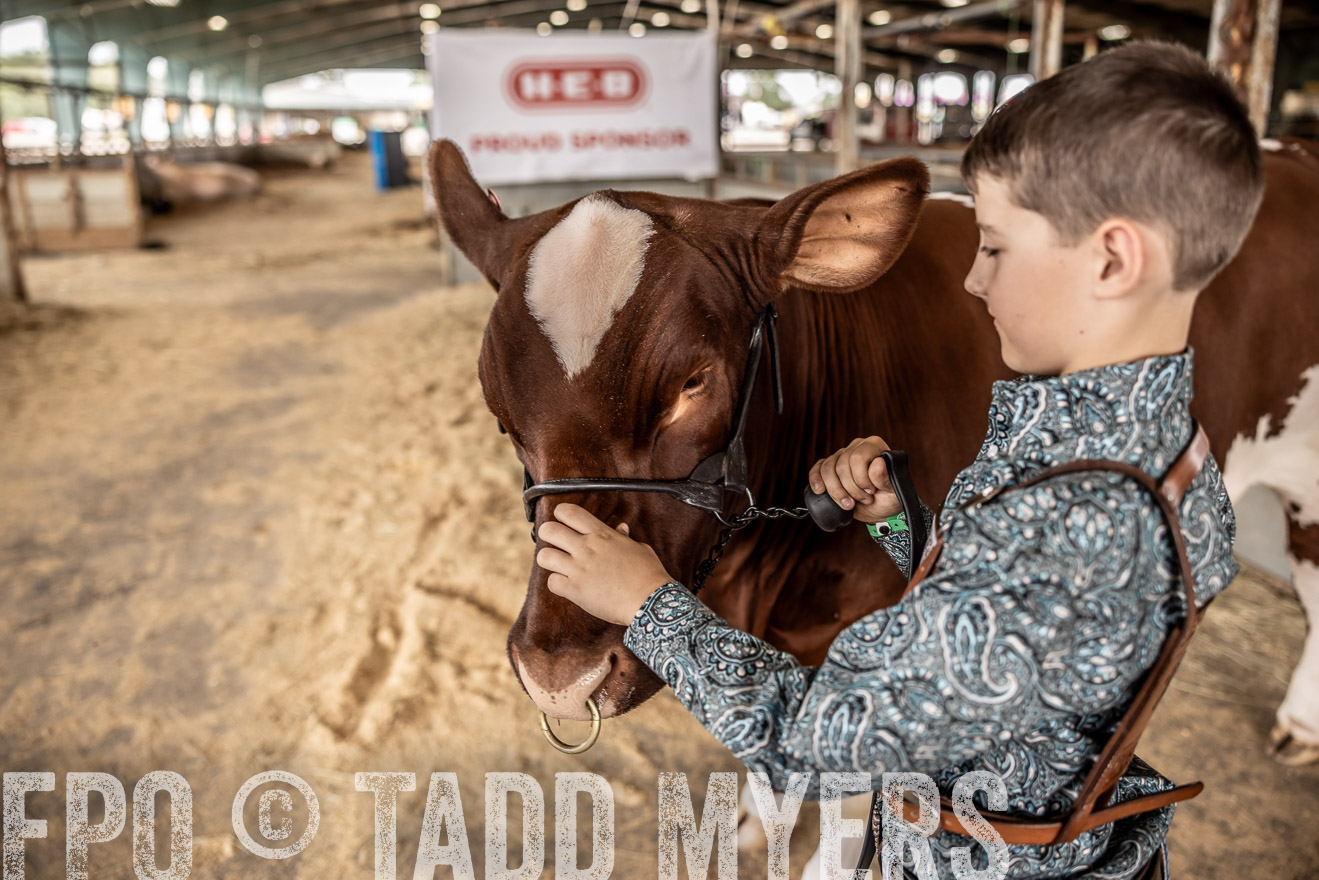 TMyers_PlotTwist_HEB_ConroeTX_April2024-518238