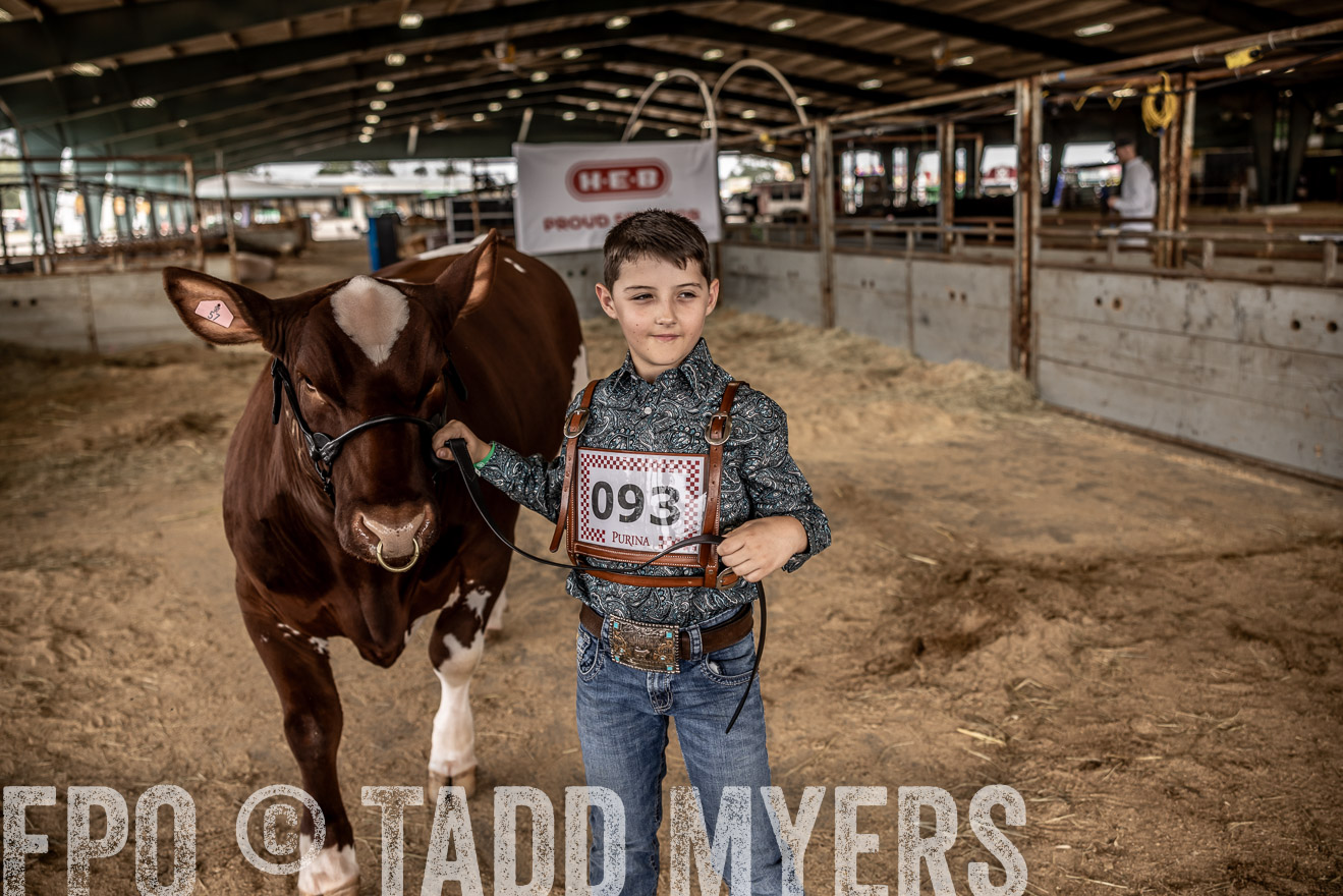 TMyers_PlotTwist_HEB_ConroeTX_April2024-518254