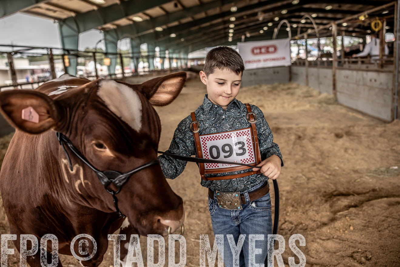 TMyers_PlotTwist_HEB_ConroeTX_April2024-518287