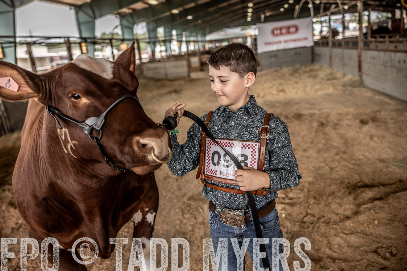 TMyers_PlotTwist_HEB_ConroeTX_April2024-518299