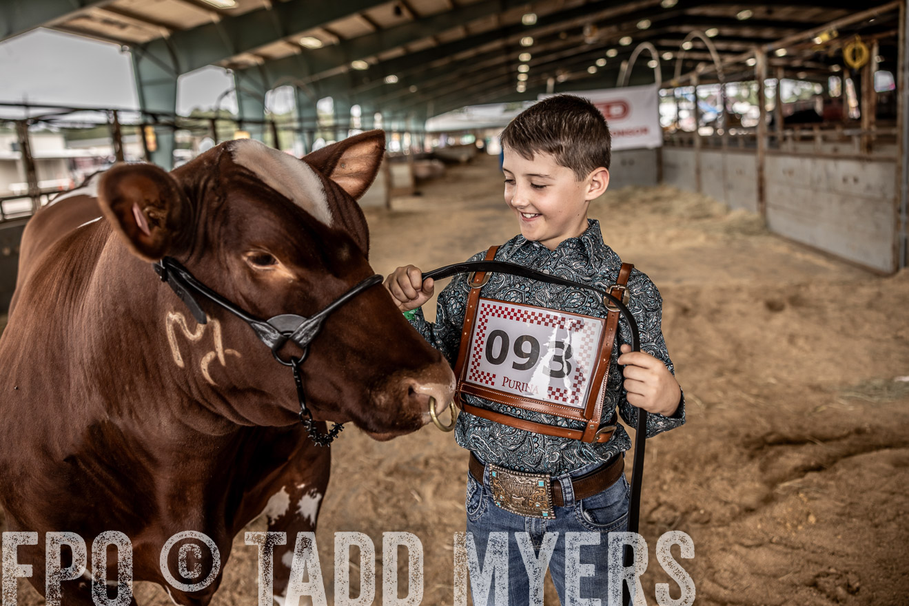 TMyers_PlotTwist_HEB_ConroeTX_April2024-518311