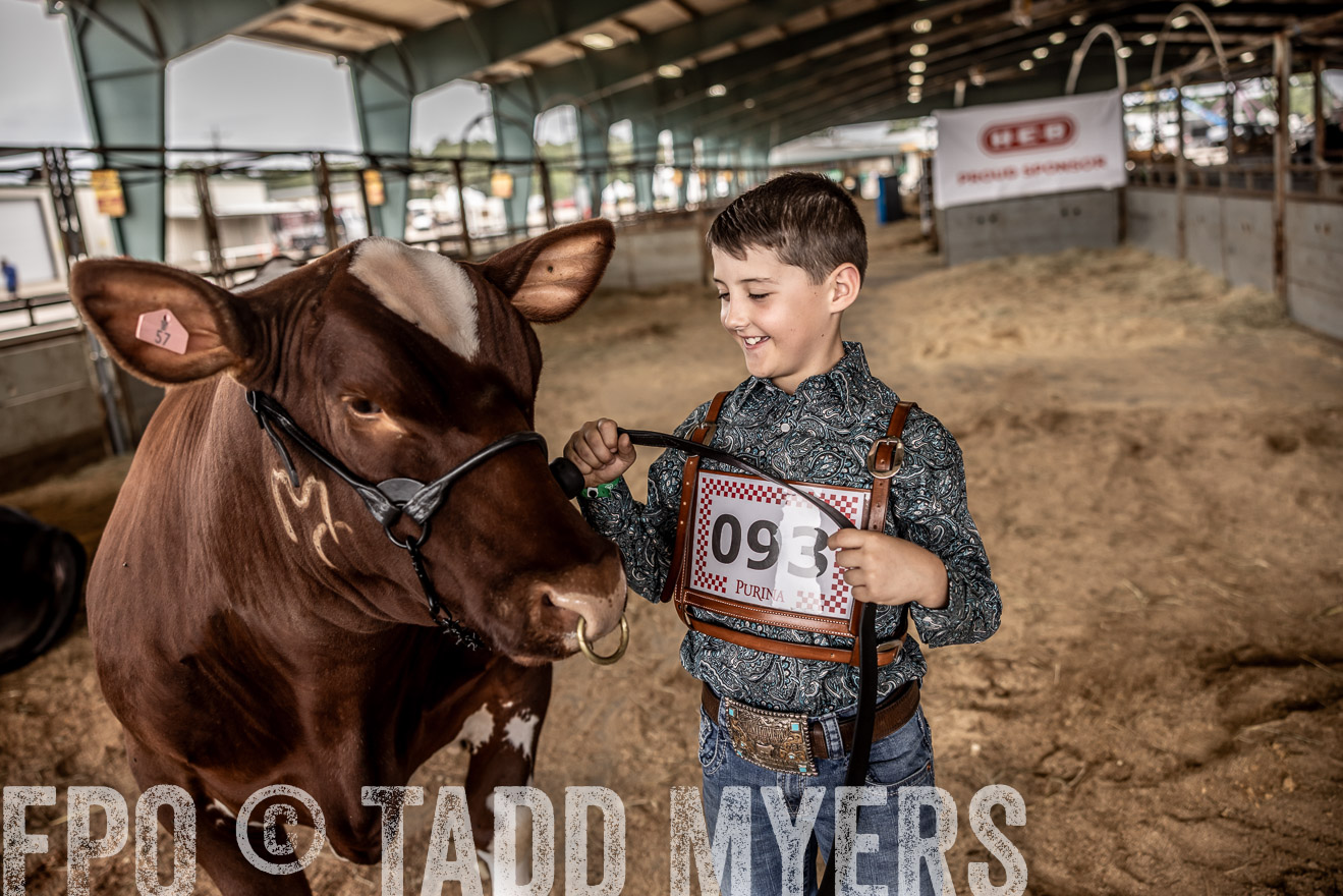 TMyers_PlotTwist_HEB_ConroeTX_April2024-518313