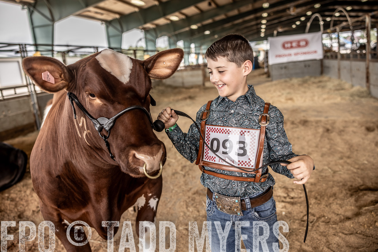TMyers_PlotTwist_HEB_ConroeTX_April2024-518325