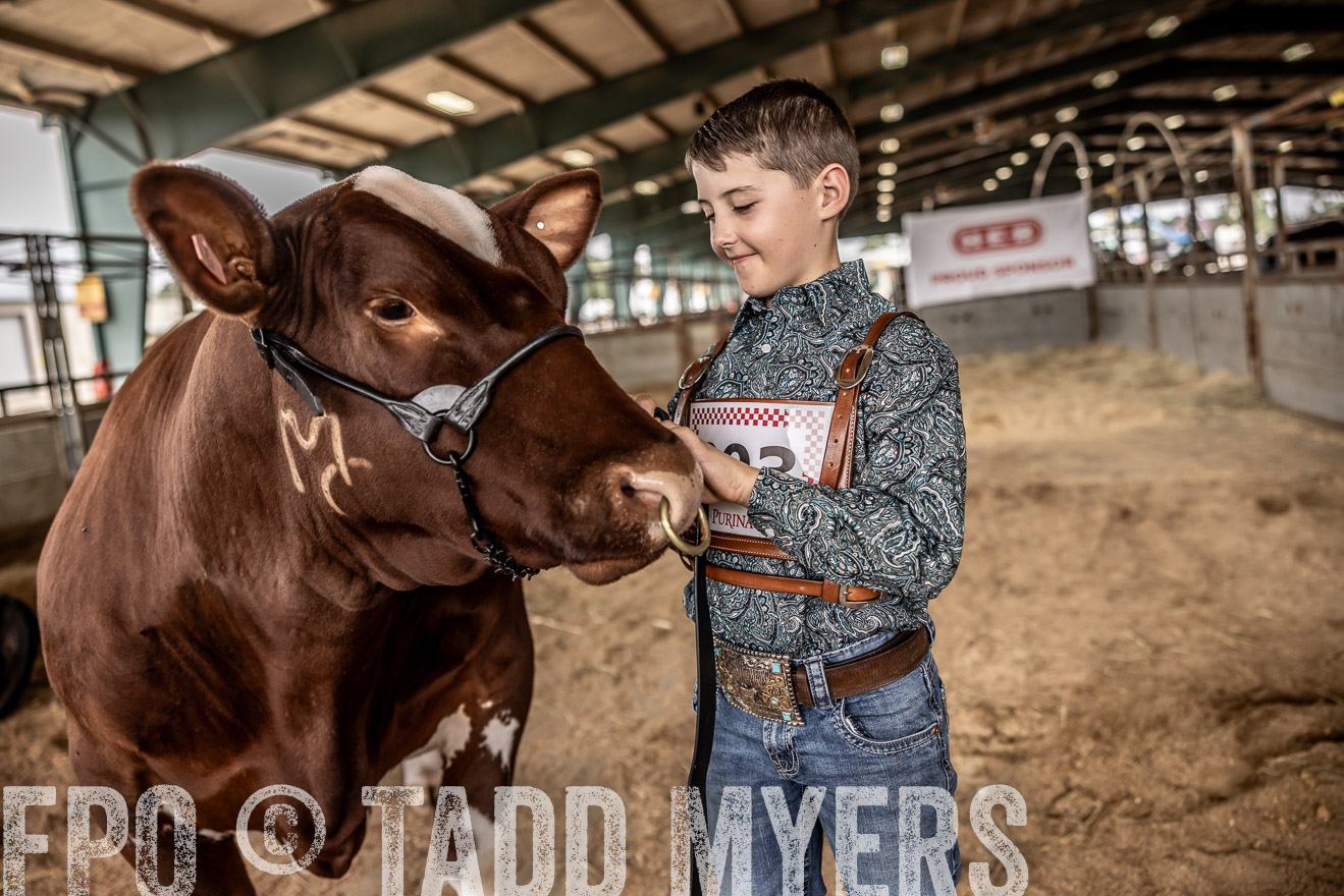TMyers_PlotTwist_HEB_ConroeTX_April2024-518331