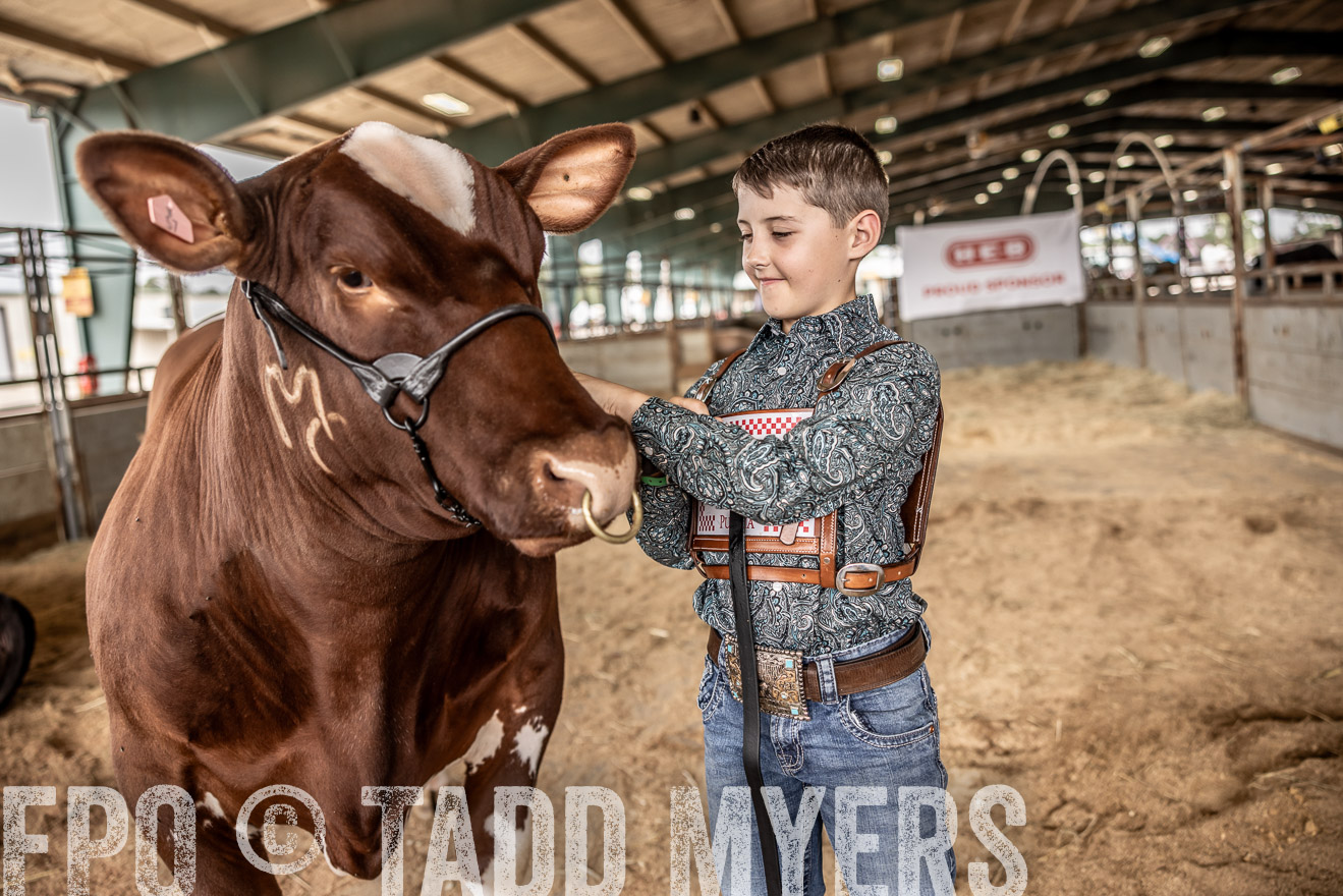 TMyers_PlotTwist_HEB_ConroeTX_April2024-518346