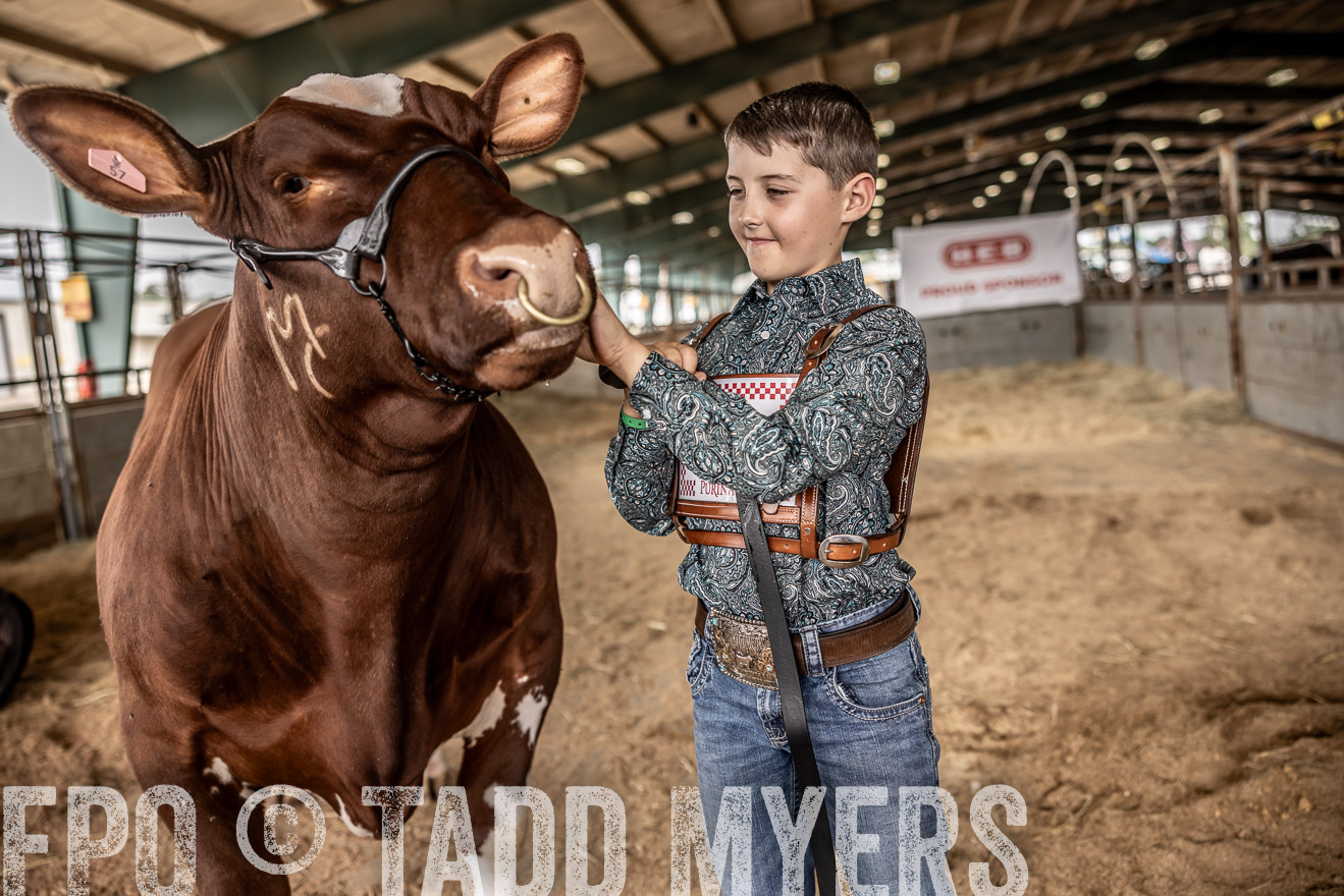 TMyers_PlotTwist_HEB_ConroeTX_April2024-518349
