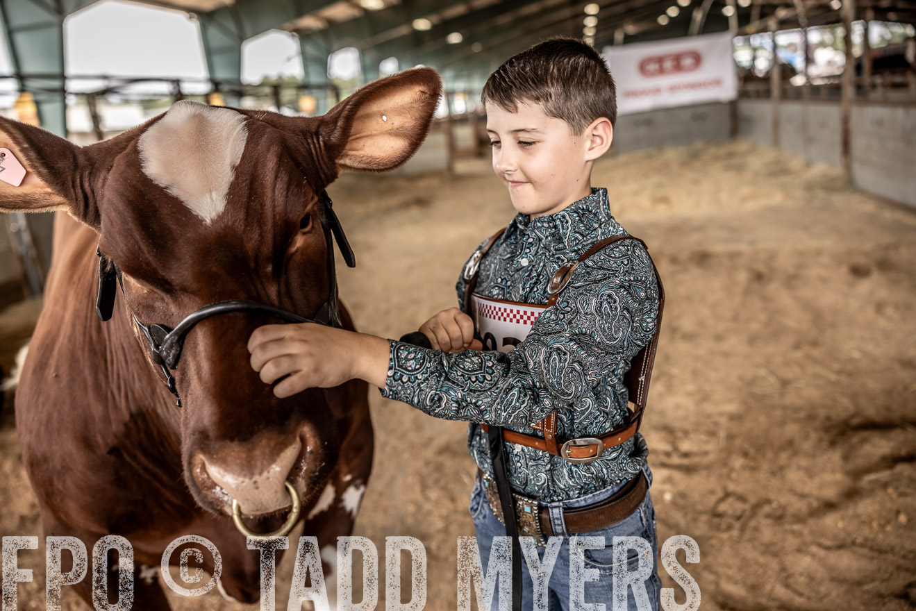 TMyers_PlotTwist_HEB_ConroeTX_April2024-518364