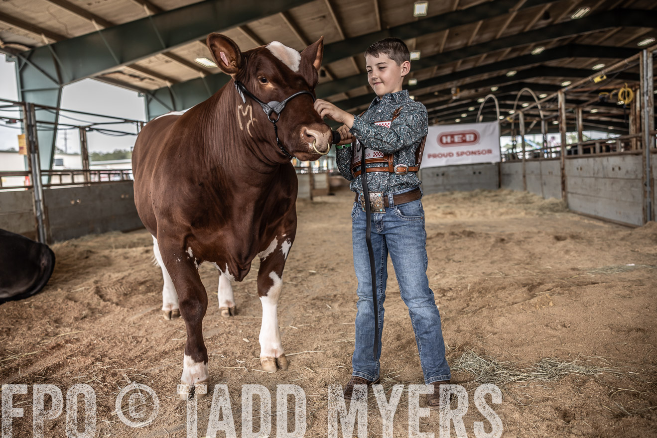 TMyers_PlotTwist_HEB_ConroeTX_April2024-518368