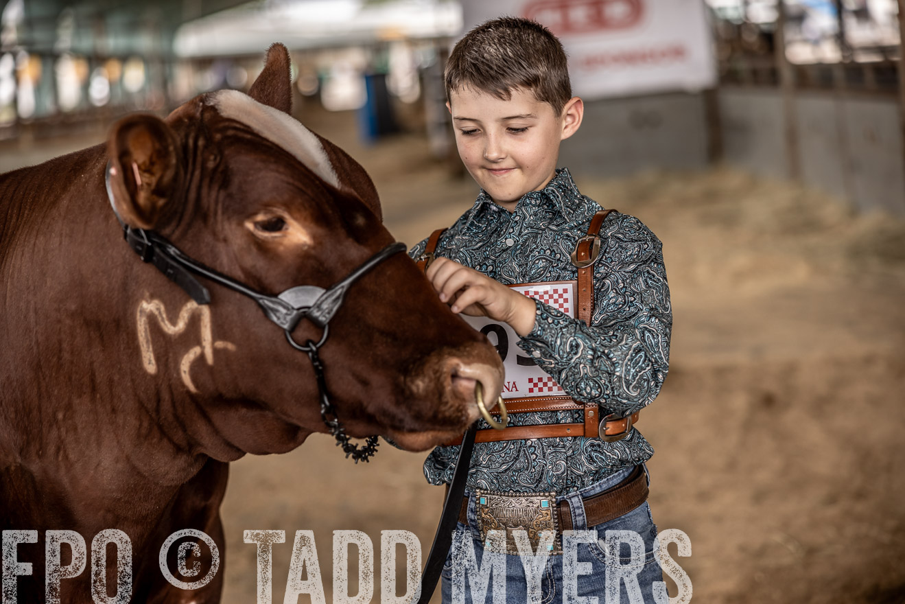 TMyers_PlotTwist_HEB_ConroeTX_April2024-518369