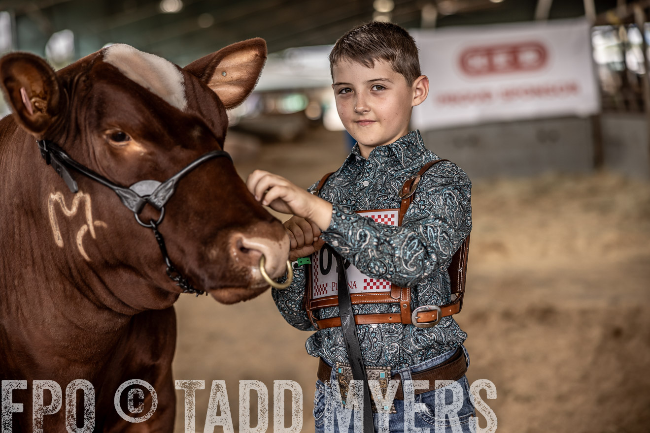 TMyers_PlotTwist_HEB_ConroeTX_April2024-518377