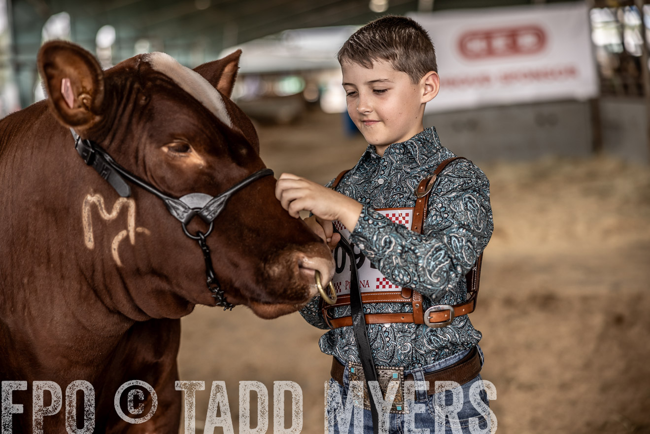 TMyers_PlotTwist_HEB_ConroeTX_April2024-518379