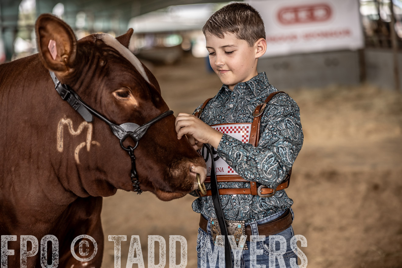 TMyers_PlotTwist_HEB_ConroeTX_April2024-518380