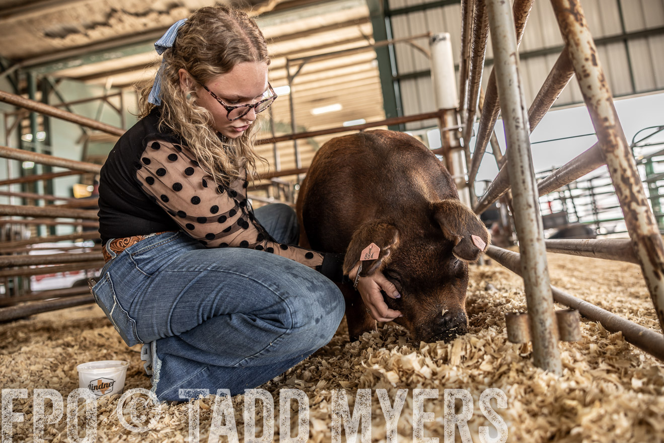 TMyers_PlotTwist_HEB_ConroeTX_April2024-518717