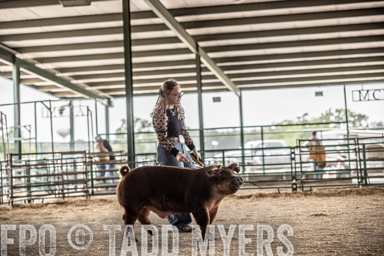 TMyers_PlotTwist_HEB_ConroeTX_April2024-518723