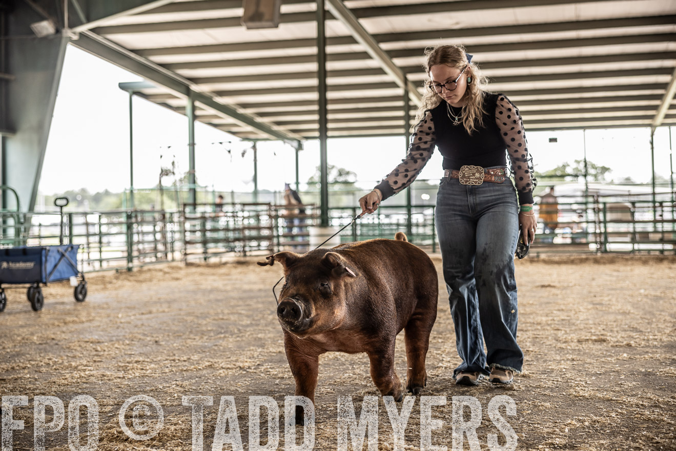 TMyers_PlotTwist_HEB_ConroeTX_April2024-518727