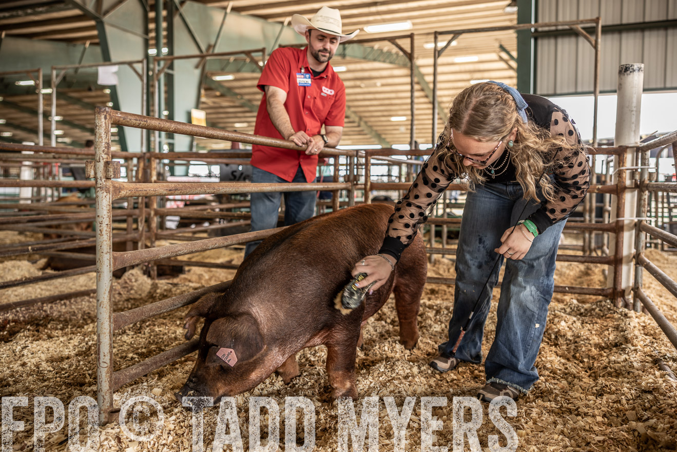 TMyers_PlotTwist_HEB_ConroeTX_April2024-518760