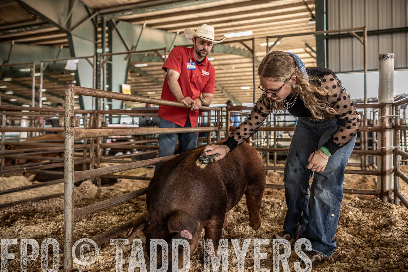 TMyers_PlotTwist_HEB_ConroeTX_April2024-518761