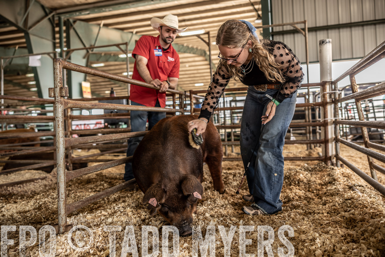 TMyers_PlotTwist_HEB_ConroeTX_April2024-518764