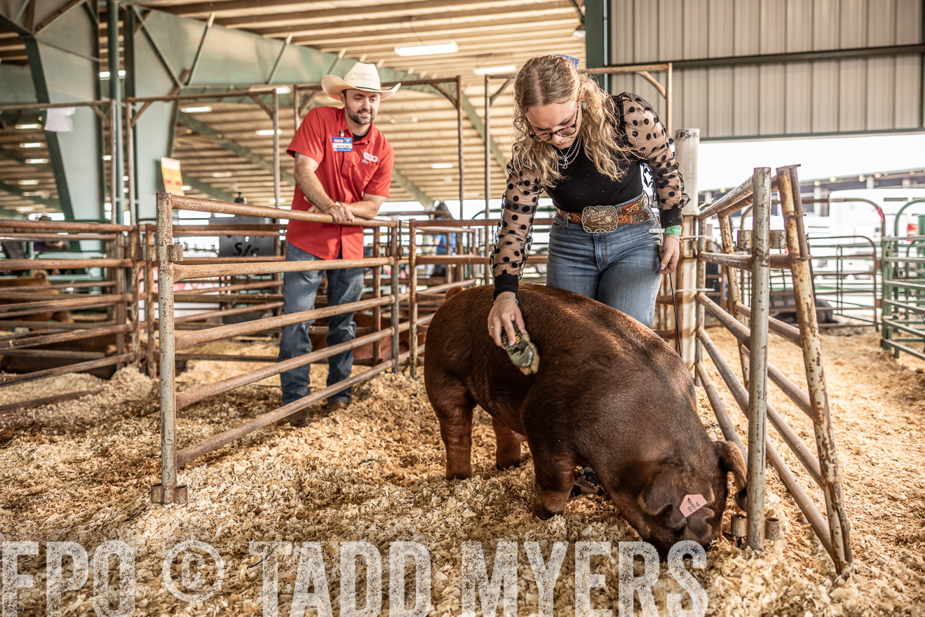 TMyers_PlotTwist_HEB_ConroeTX_April2024-518788