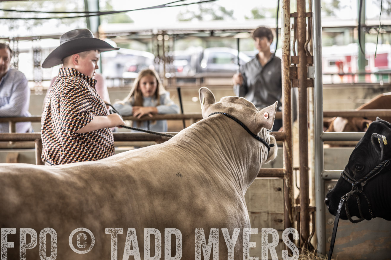 TMyers_PlotTwist_HEB_ConroeTX_April2024-518811