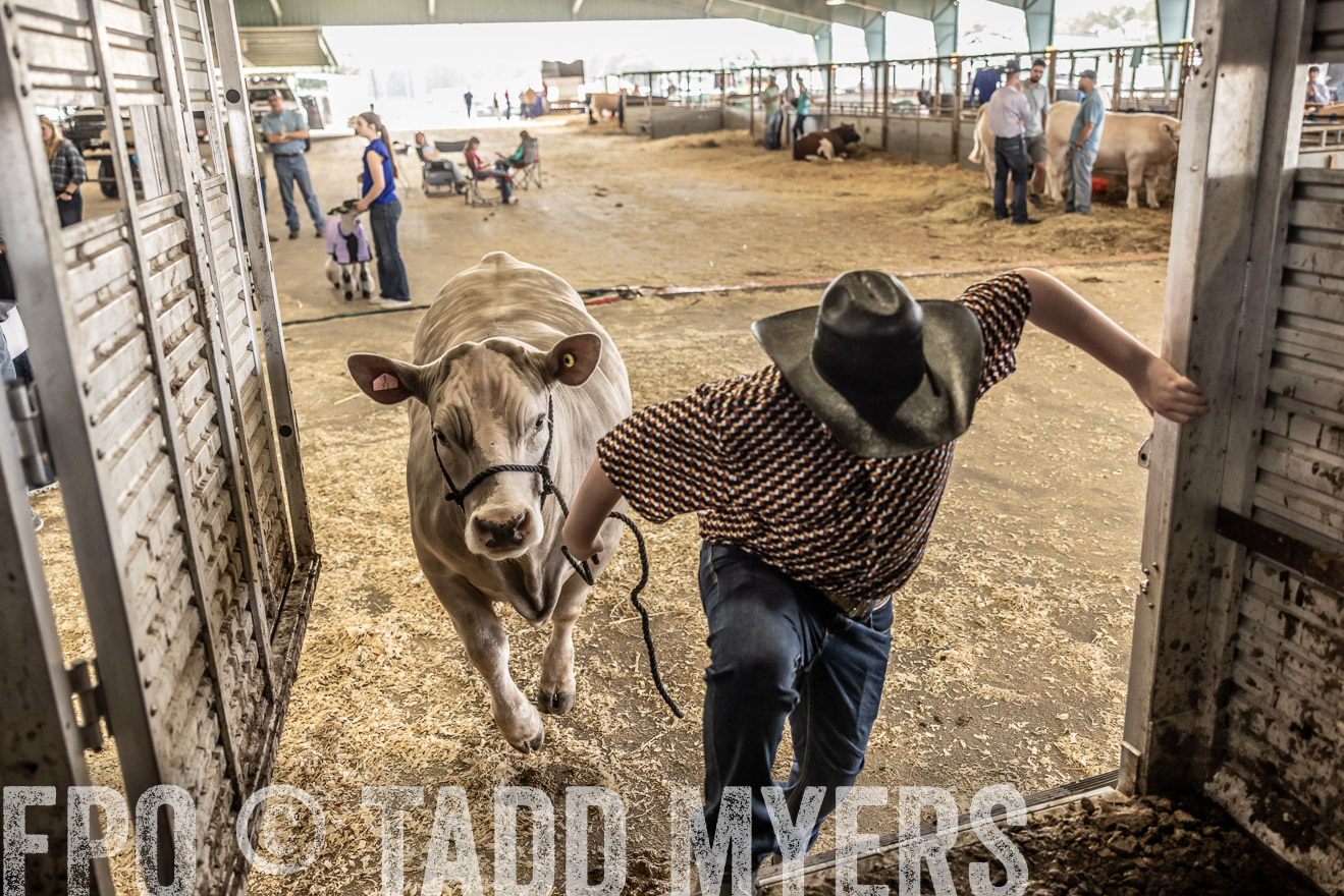 TMyers_PlotTwist_HEB_ConroeTX_April2024-518832