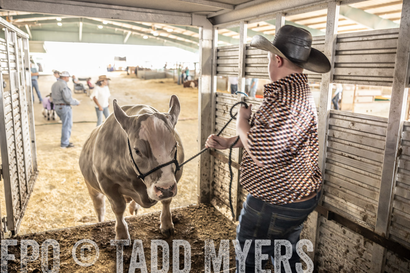 TMyers_PlotTwist_HEB_ConroeTX_April2024-518838