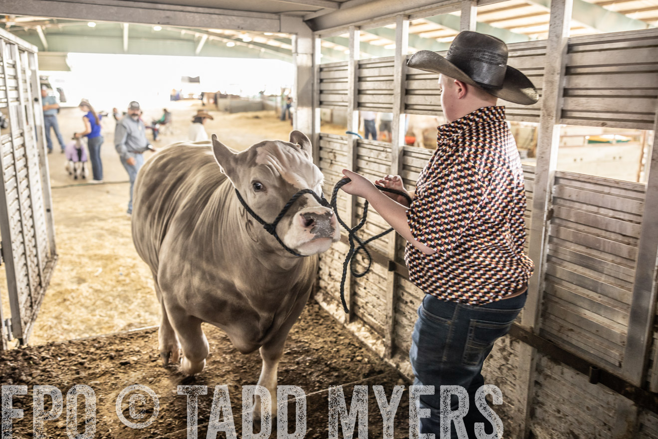 TMyers_PlotTwist_HEB_ConroeTX_April2024-518841