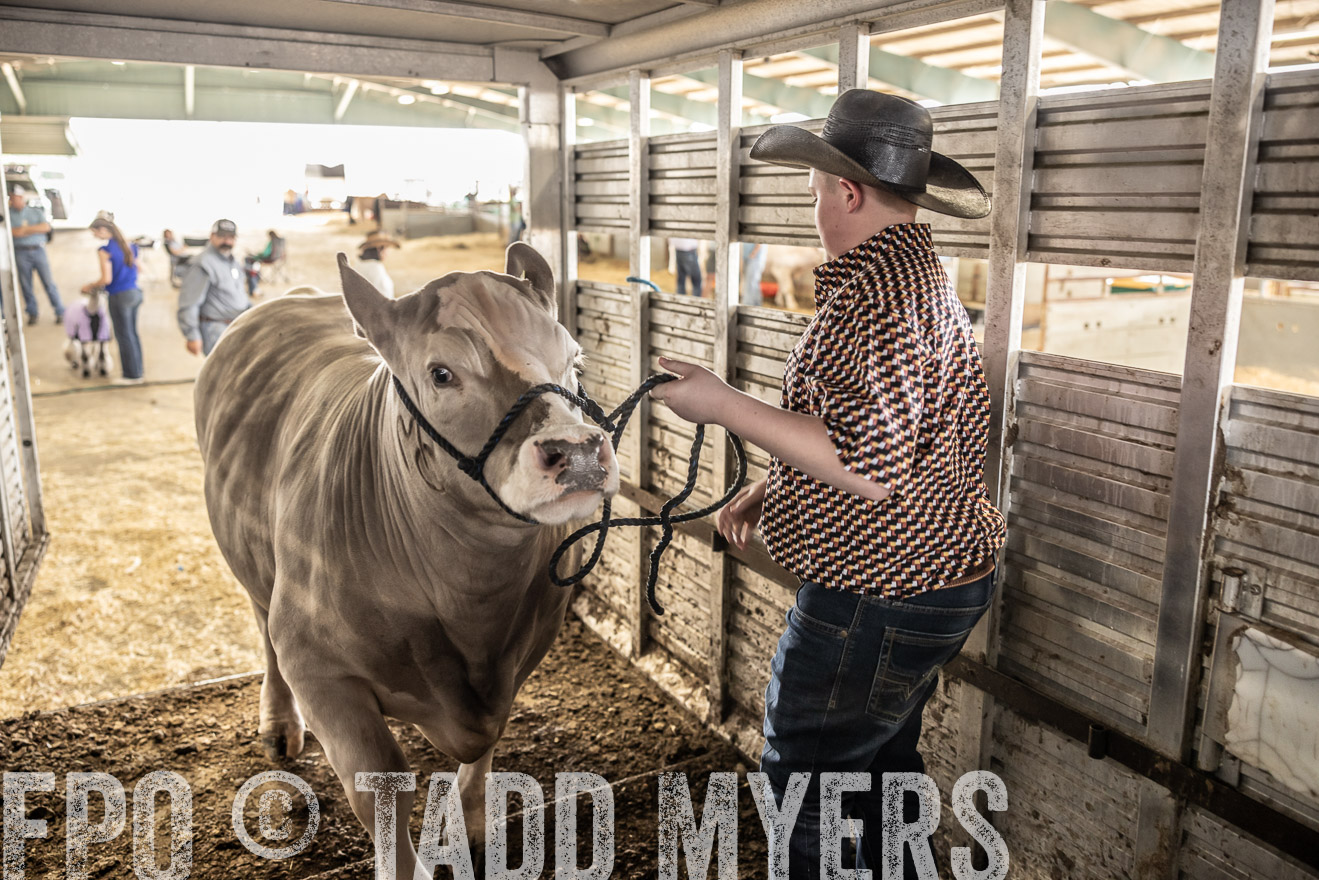 TMyers_PlotTwist_HEB_ConroeTX_April2024-518842