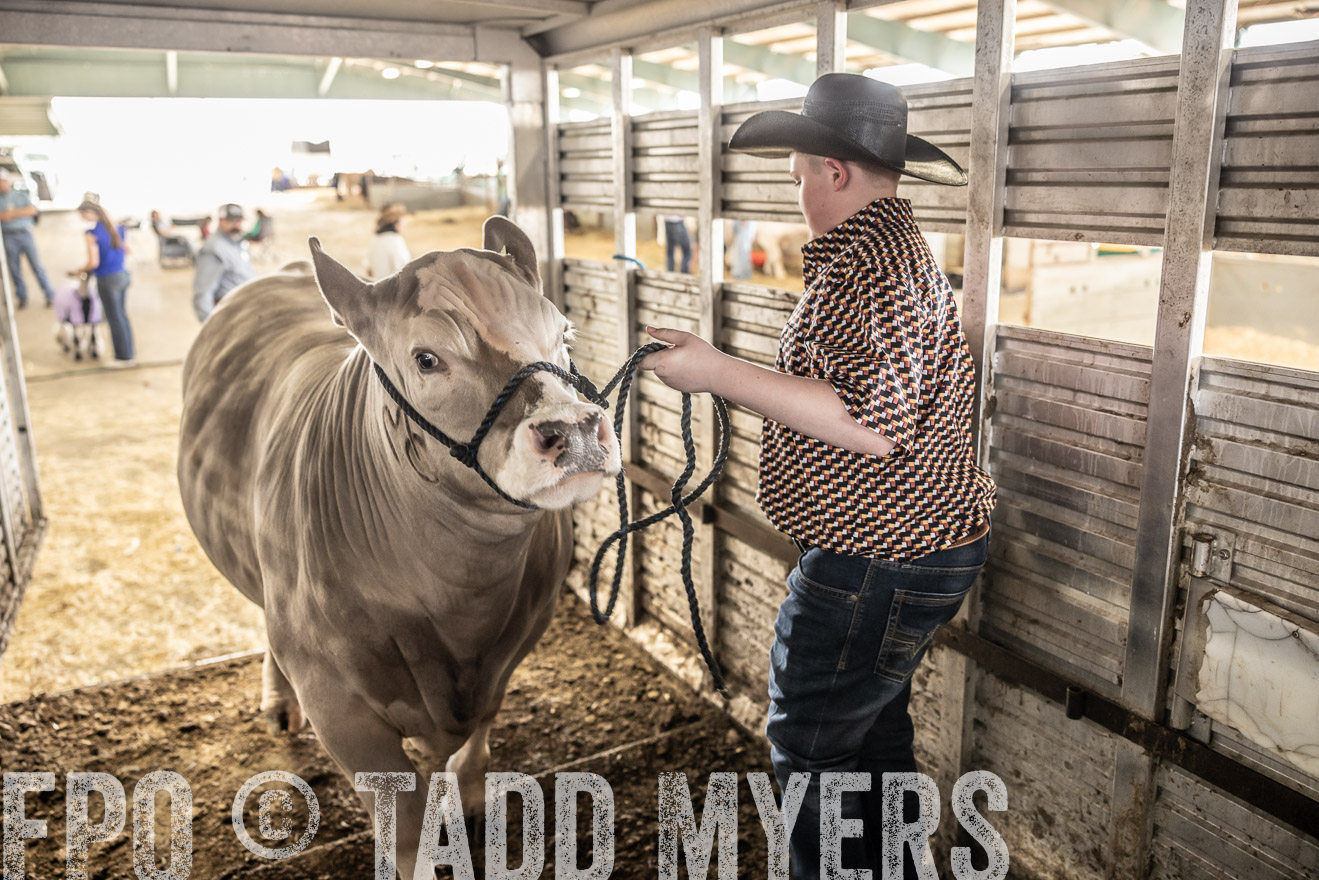TMyers_PlotTwist_HEB_ConroeTX_April2024-518843