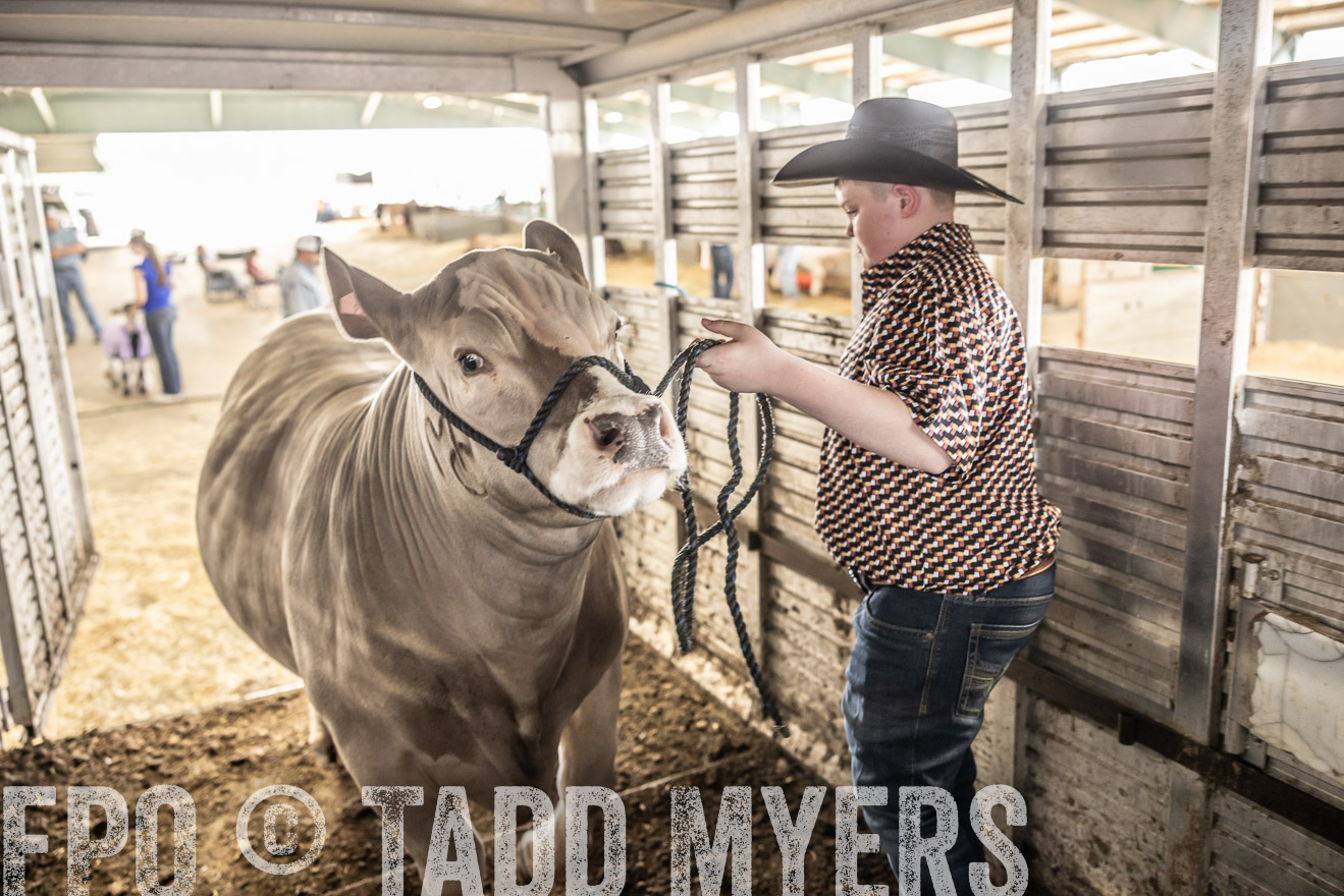 TMyers_PlotTwist_HEB_ConroeTX_April2024-518844