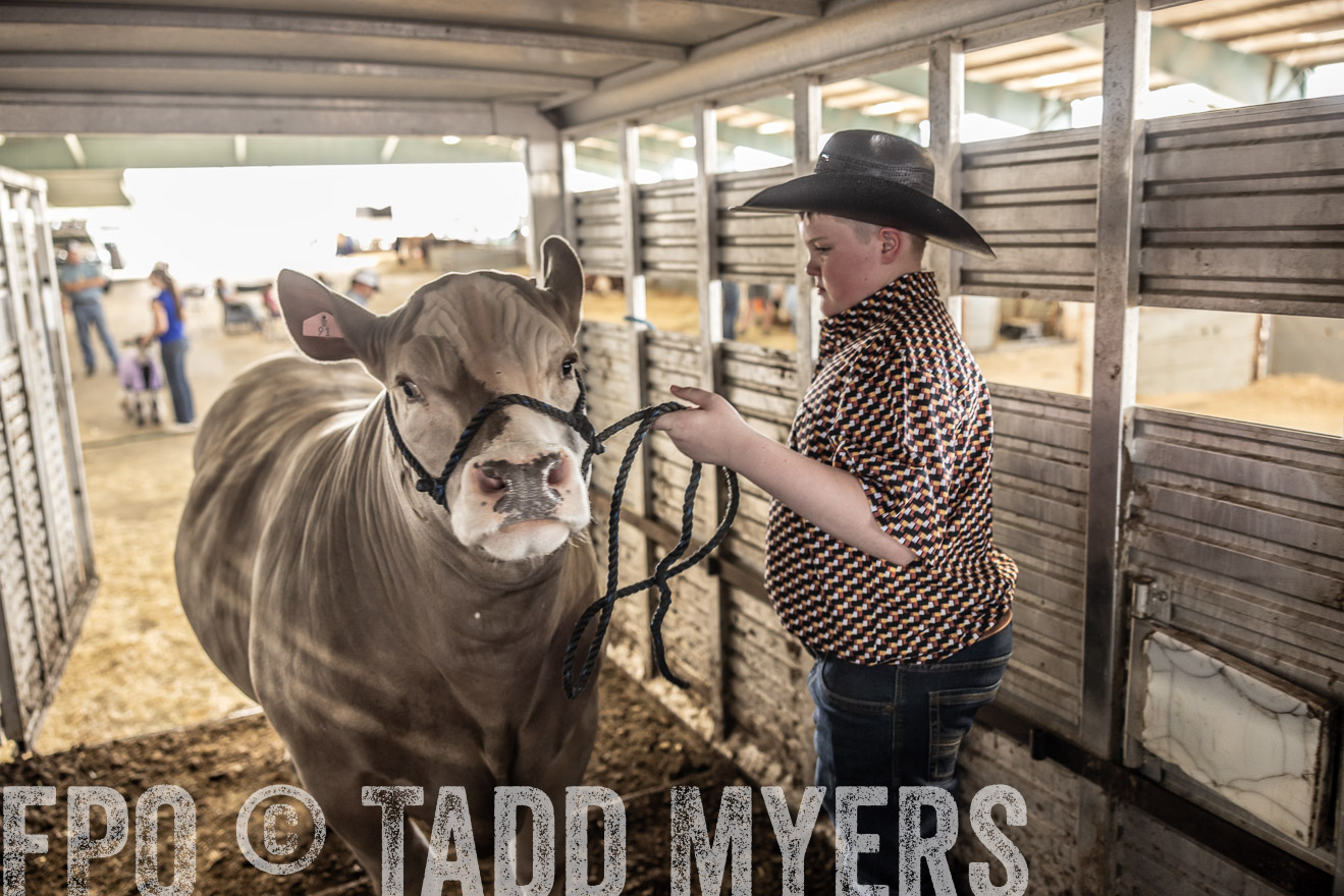 TMyers_PlotTwist_HEB_ConroeTX_April2024-518846