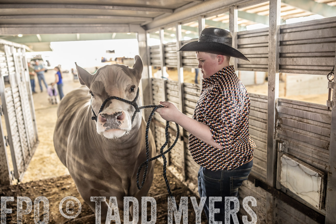 TMyers_PlotTwist_HEB_ConroeTX_April2024-518847