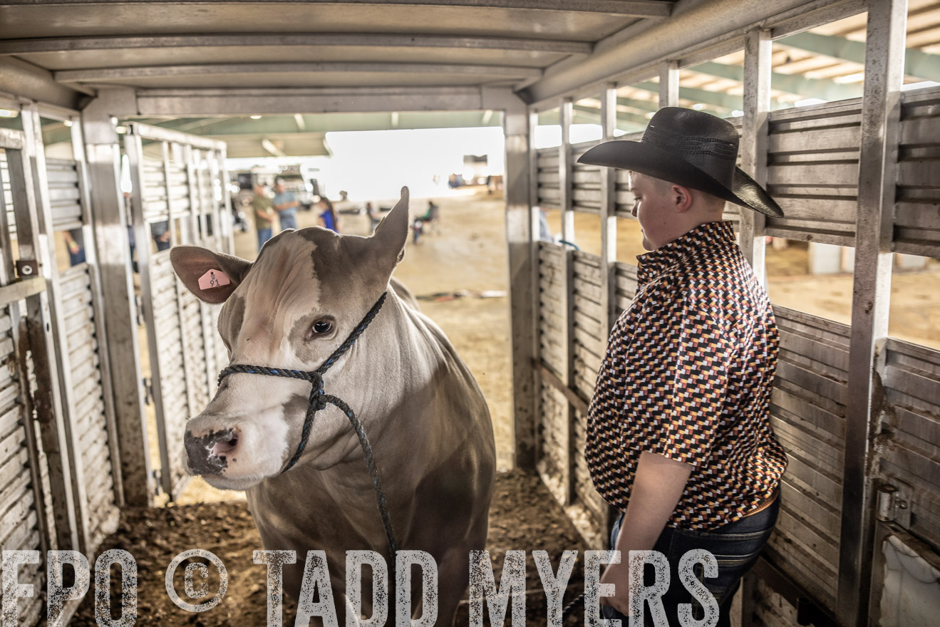 TMyers_PlotTwist_HEB_ConroeTX_April2024-518851
