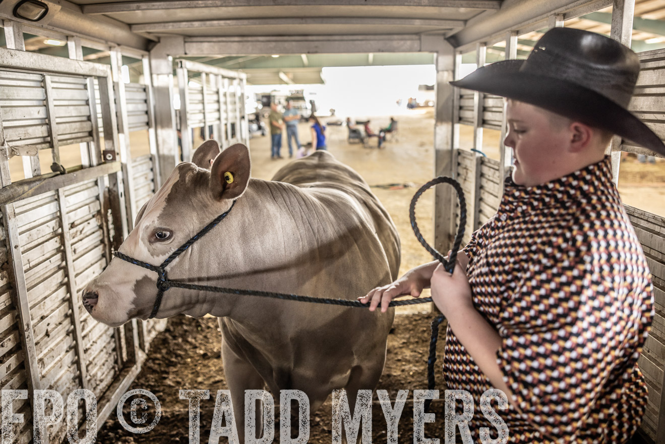 TMyers_PlotTwist_HEB_ConroeTX_April2024-518854
