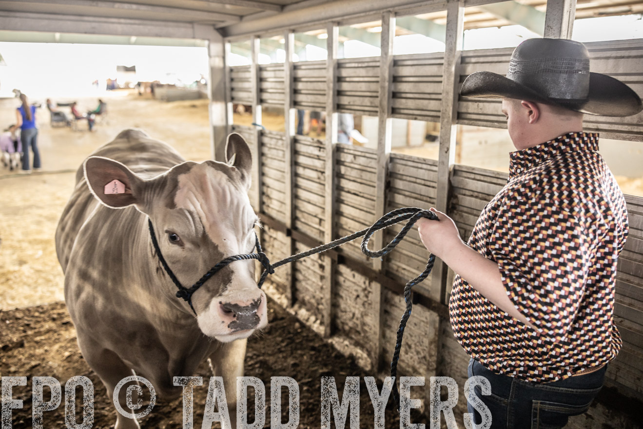 TMyers_PlotTwist_HEB_ConroeTX_April2024-518860