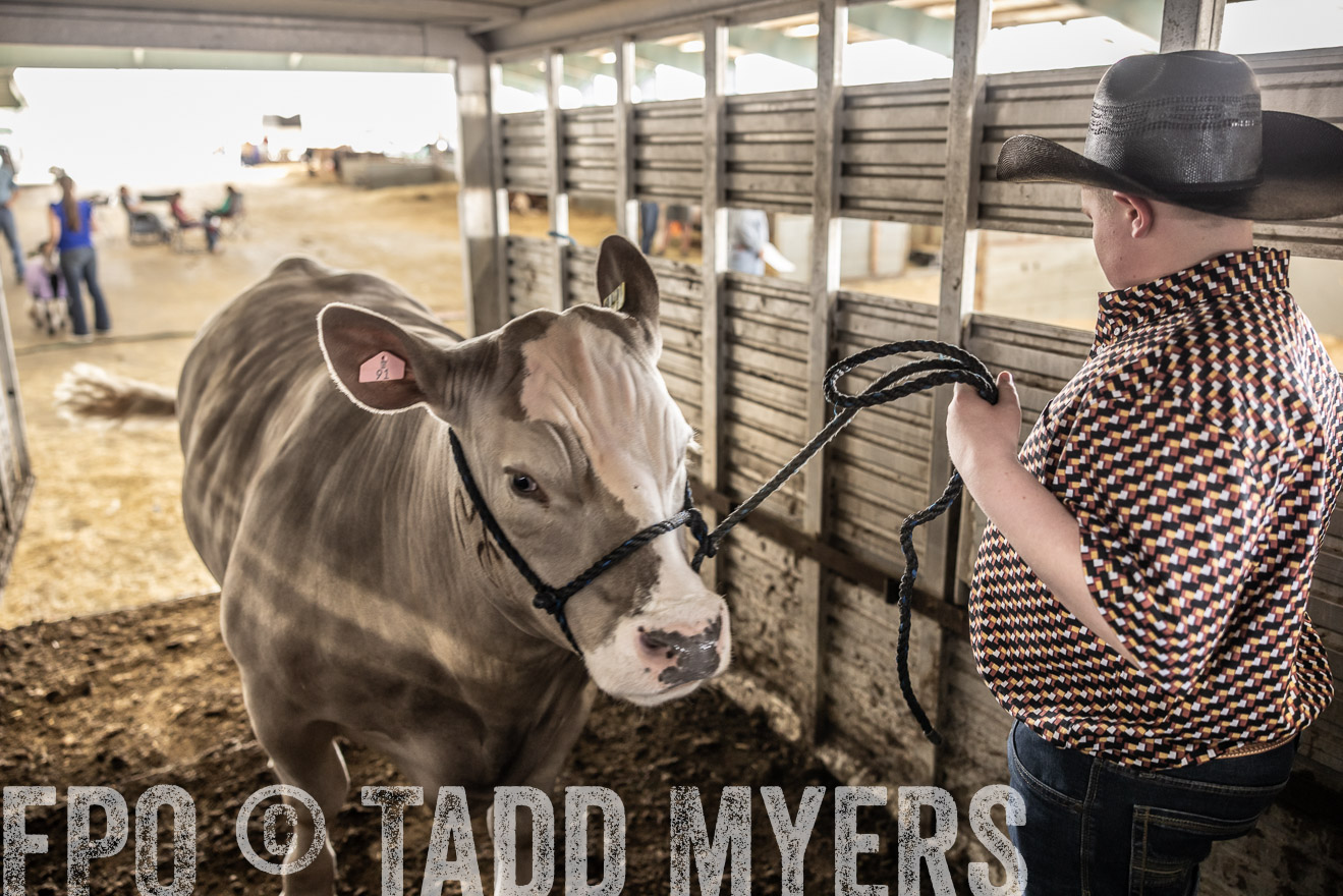 TMyers_PlotTwist_HEB_ConroeTX_April2024-518862