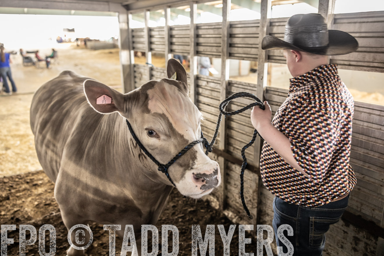 TMyers_PlotTwist_HEB_ConroeTX_April2024-518863