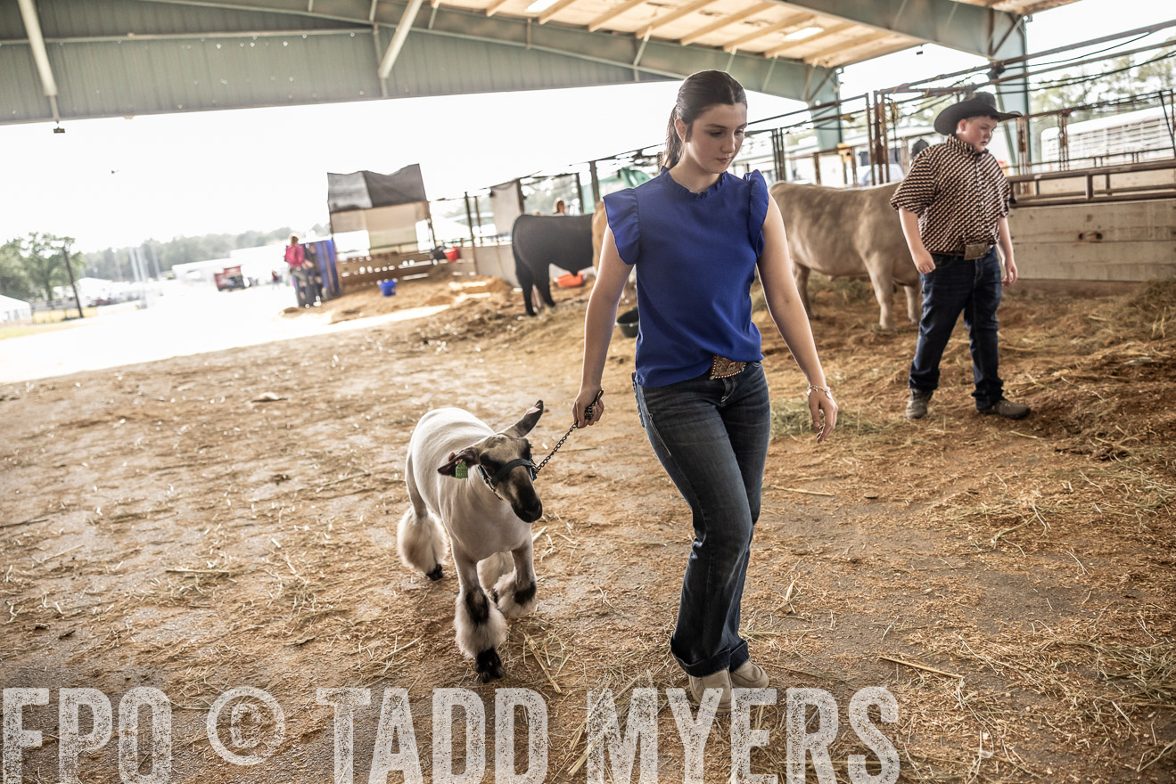 TMyers_PlotTwist_HEB_ConroeTX_April2024-518877