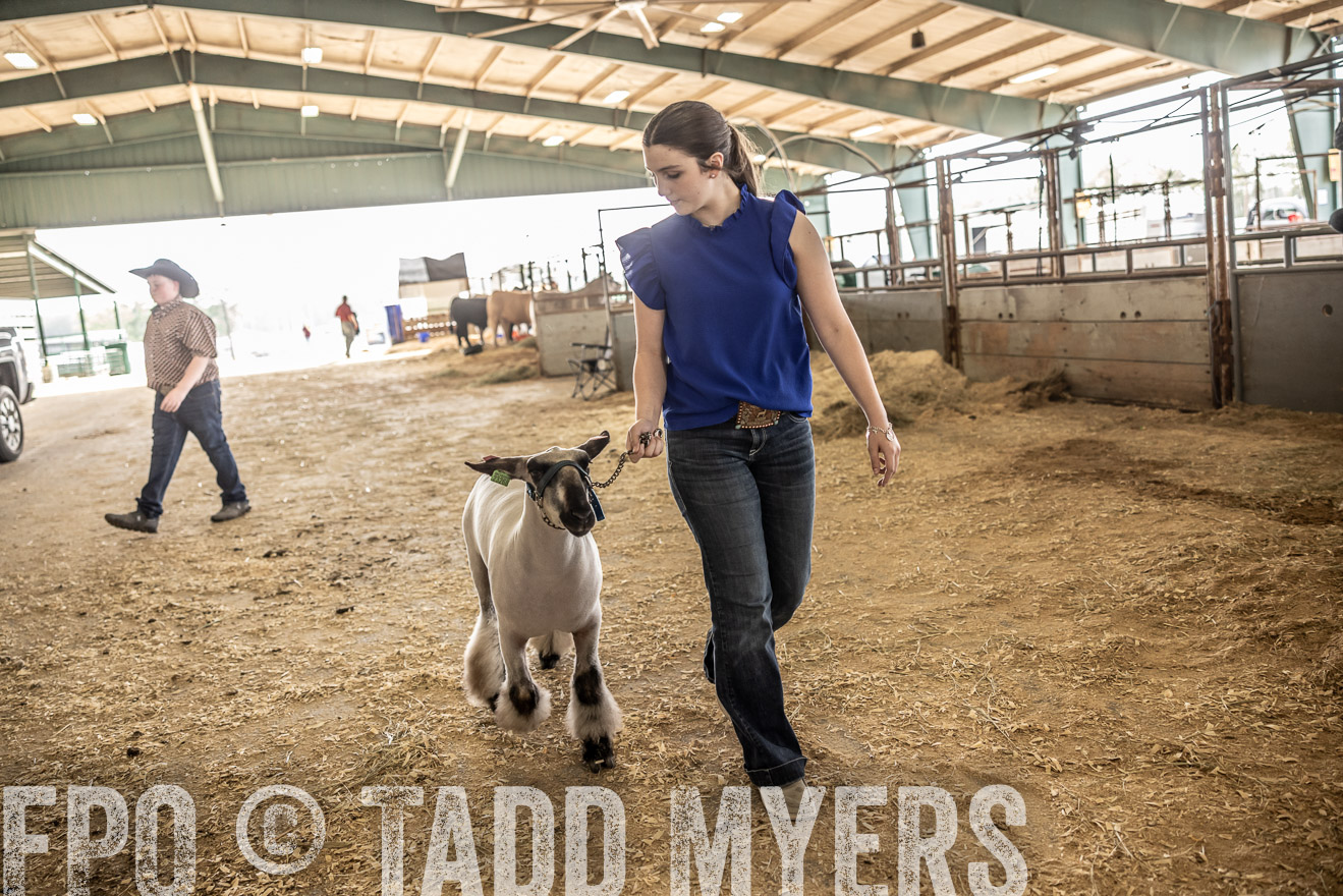 TMyers_PlotTwist_HEB_ConroeTX_April2024-518884