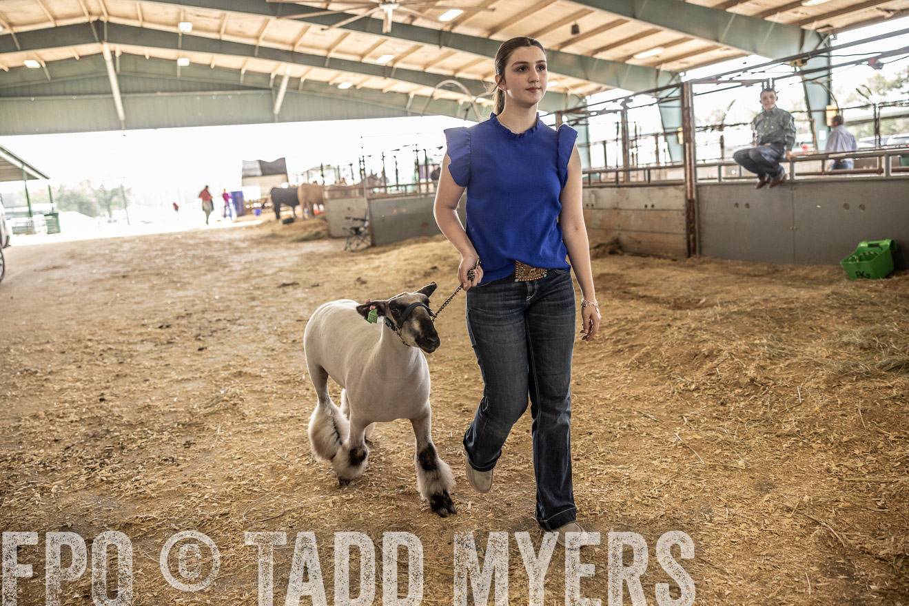 TMyers_PlotTwist_HEB_ConroeTX_April2024-518887