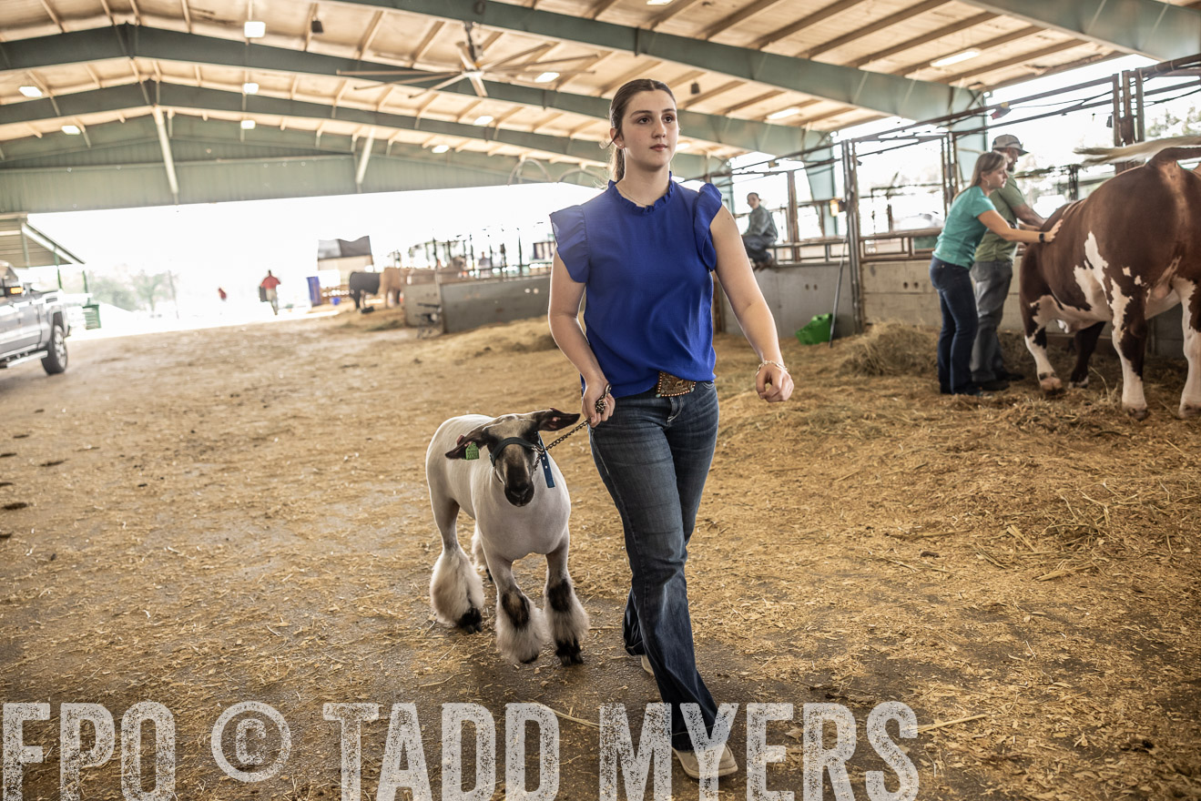 TMyers_PlotTwist_HEB_ConroeTX_April2024-518891