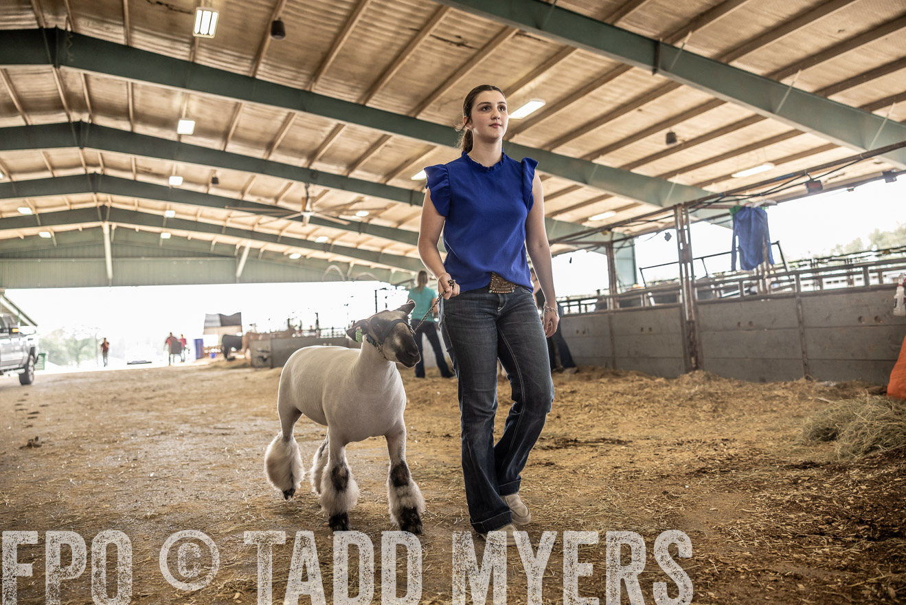 TMyers_PlotTwist_HEB_ConroeTX_April2024-518897